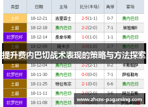 提升费内巴切战术表现的策略与方法探索 提升费内巴切战术表现的策略与方法探索