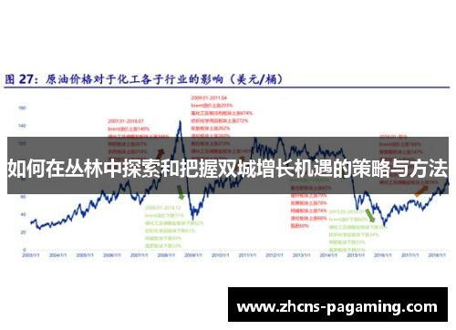 如何在丛林中探索和把握双城增长机遇的策略与方法 如何在丛林中探索和把握双城增长机遇的策略与方法