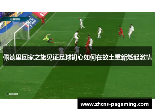 佩德里回家之旅见证足球初心如何在故土重新燃起激情 佩德里回家之旅见证足球初心如何在故土重新燃起激情