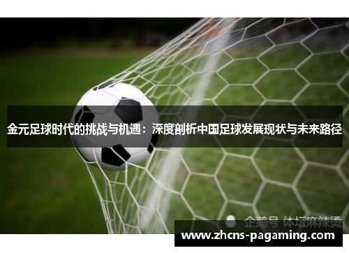 金元足球时代的挑战与机遇：深度剖析中国足球发展现状与未来路径