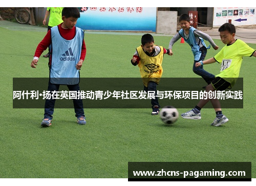 阿什利·扬在英国推动青少年社区发展与环保项目的创新实践 阿什利·扬在英国推动青少年社区发展与环保项目的创新实践