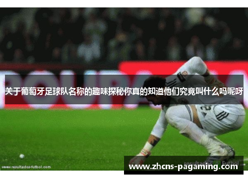 关于葡萄牙足球队名称的趣味探秘你真的知道他们究竟叫什么吗呢呀 关于葡萄牙足球队名称的趣味探秘你真的知道他们究竟叫什么吗呢呀