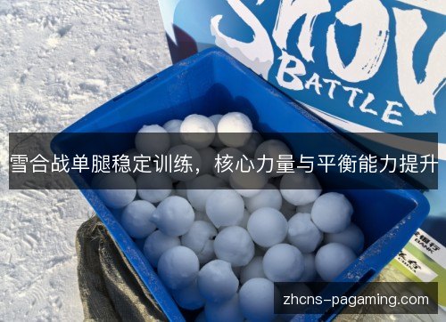 雪合战单腿稳定训练，核心力量与平衡能力提升