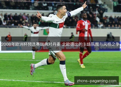 2008年欧洲杯预选赛瑞典对丹麦 北欧德比的主场氛围与风格之争